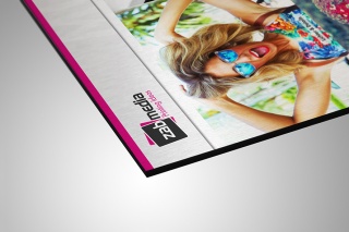 Aluverbund silver brushed 3mm stark (bedruckt) Aluverbund silver brushed 3mm stark (bedruckt)